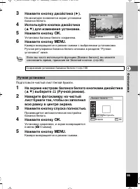 Страница 96