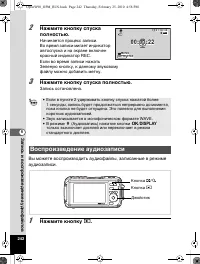 Страница 243