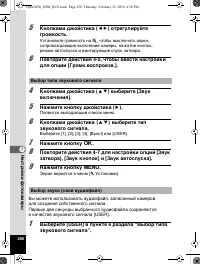 Страница 251