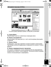 Страница 246