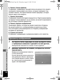 Страница 247