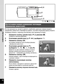 Страница 60
