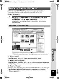 Страница 244