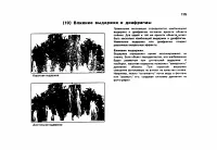 Страница 118
