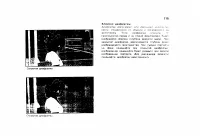 Страница 119