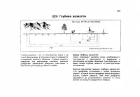 Страница 120