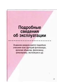 Страница 31