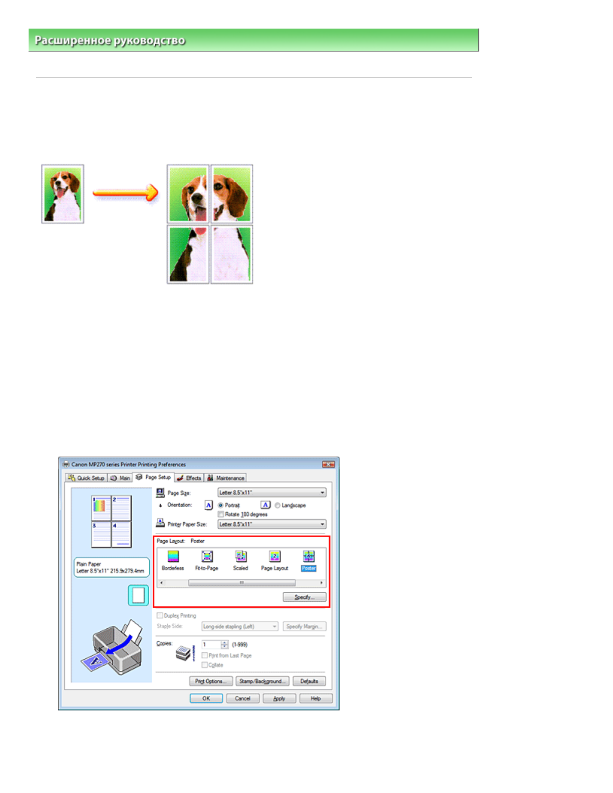 background image