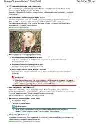 Страница 522