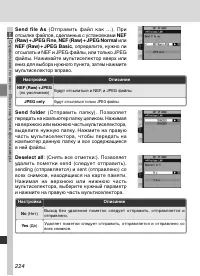 Страница 238
