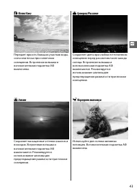 Страница 63