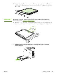 Страница 55