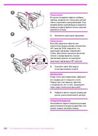 Страница 243
