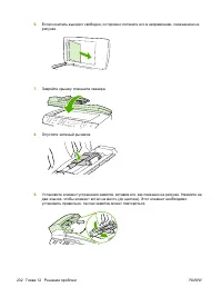 Страница 244