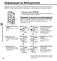 Страница 66