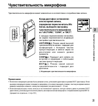 Страница 31