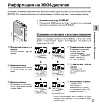 Страница 33