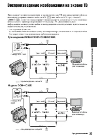 Страница 37