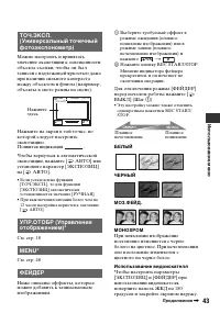Страница 43