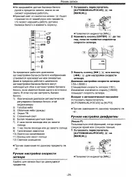 Страница 25