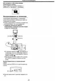 Страница 43