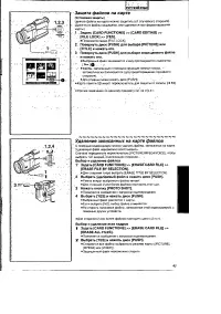 Страница 43