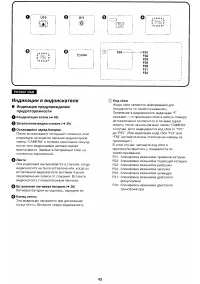 Страница 43