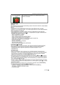 Страница 65