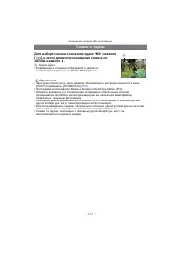 Страница 117