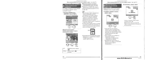 Страница 43