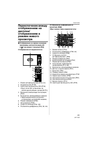 Страница 31