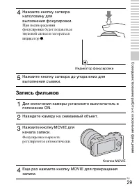 Страница 29