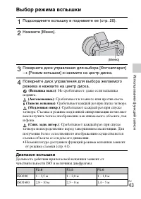 Страница 43