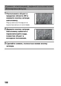 Страница 100