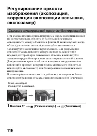 Страница 116