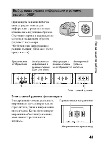 Страница 43