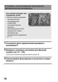 Страница 80