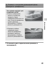 Страница 81