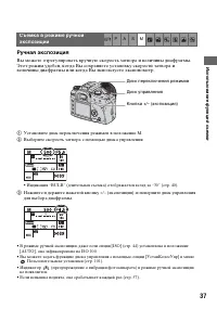 Страница 37