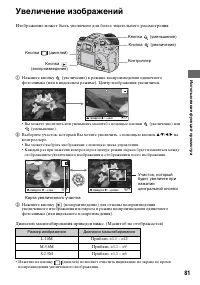 Страница 81