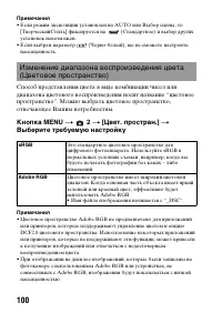 Страница 100