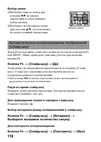 Страница 110