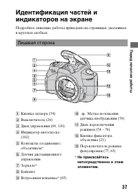 Страница 37
