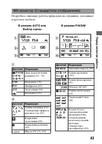 Страница 43