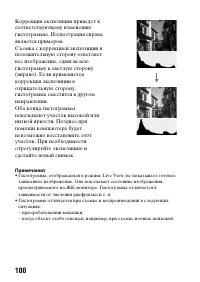 Страница 100