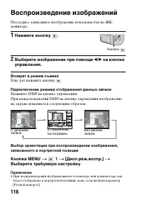 Страница 116