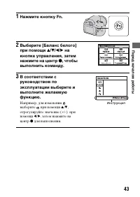 Страница 43