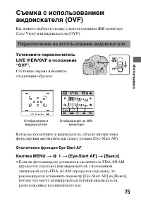 Страница 75
