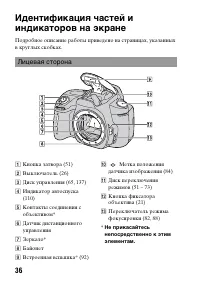 Страница 36