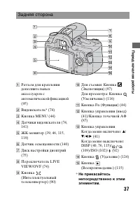 Страница 37